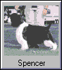 Spencer