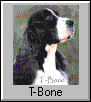 T-Bone