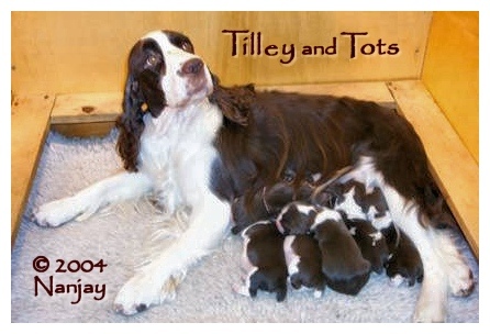 Tilley and Tots
