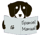 Information Articles