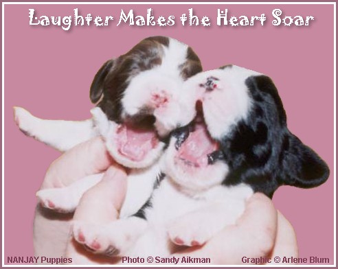 Laughter Make the Heart Soar