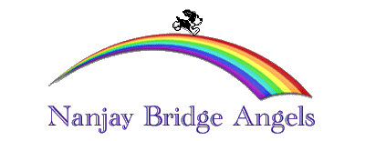 Nanjay Bridge Angels